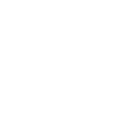 Solution Icon
